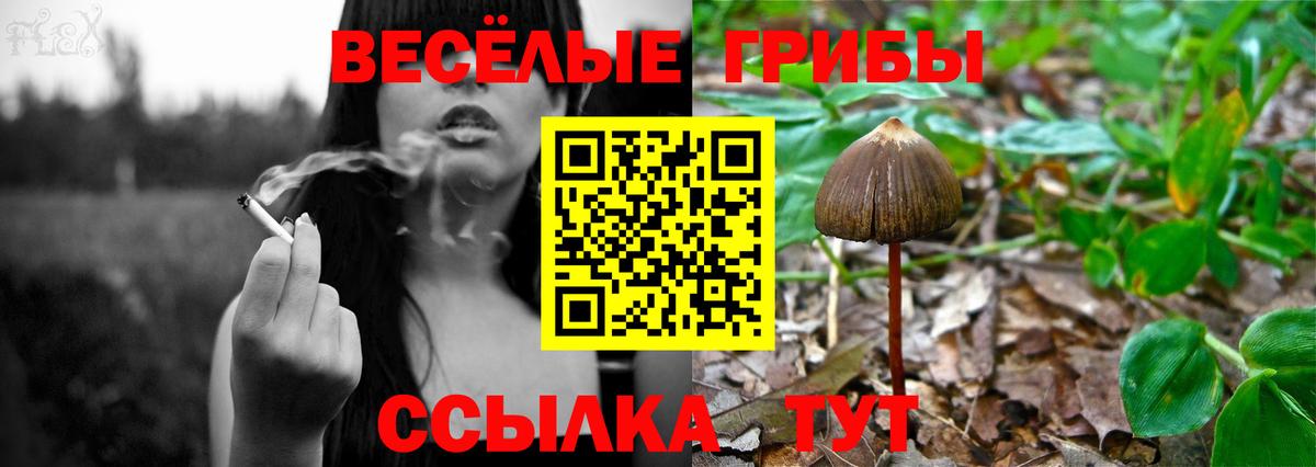 Галлюциногенные грибы Magic Shrooms  Галлюциногенные грибы прущие грибы  Вход с VPN  Ухта 