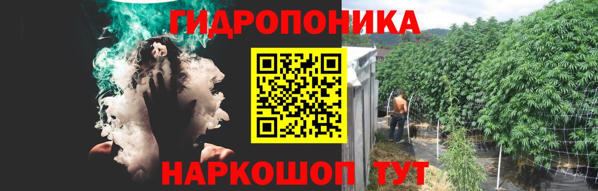 Бошки марихуана Amnesia Ухта