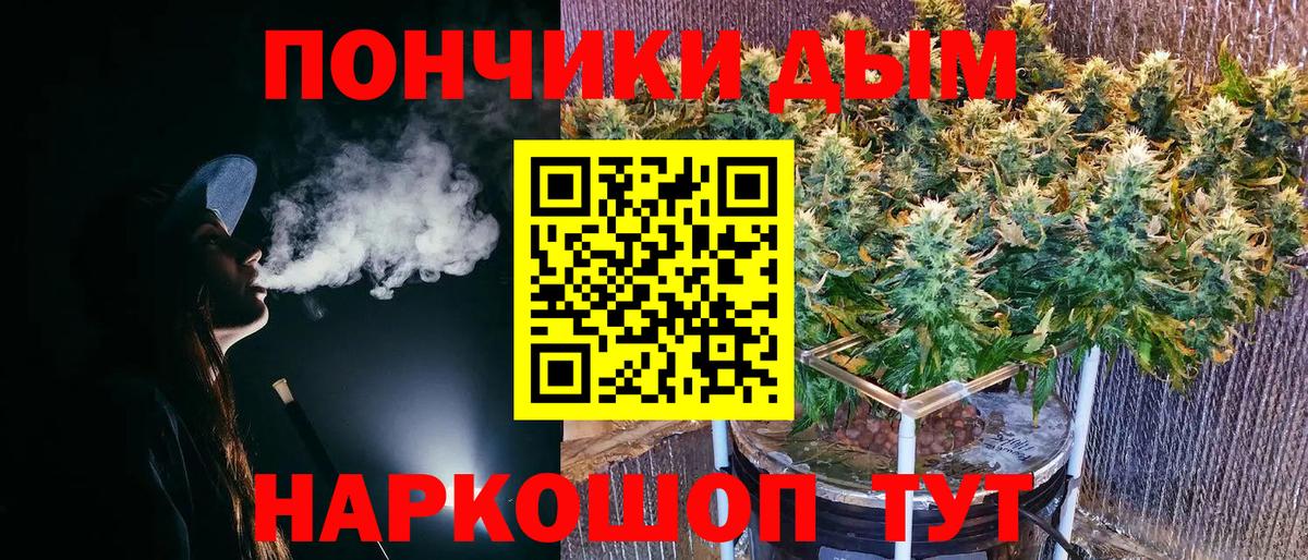 Шишки марихуана план  Вход с VPN  Канабис сатива  Шишки марихуана ГИДРОПОН  Ухта 